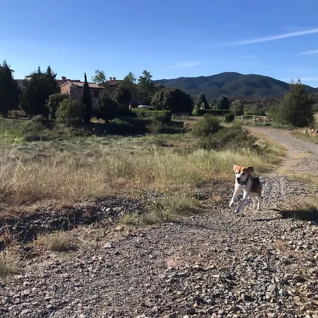 Oasis Rural *